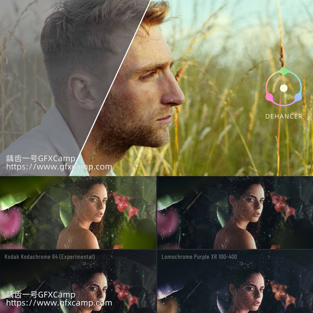 胶片模拟视频调色插件 Dehancer Pro 达芬奇/FCPX/AE/PRPS WinMac-天天素材网