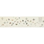 Tô Châu thêu DIY kit mới bắt đầu một trăm con bướm mẫu thêu sơ đồ bướm Tranh Tự tay sơn trang trí - Bộ dụng cụ thêu tranh thêu cây kim tiền
