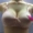 Áo ngực nữ trung niên Áo ngực trung niên không có vành Mẹ đồ lót mỏng phần cotton thoáng khí cỡ lớn 42