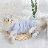 Синий кружево ()