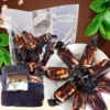 Товары от 倾城范