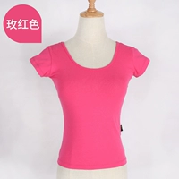 Роза красная