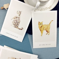 Маленькие карты животных 30 ручных кошек Minden Postcard Forms различных маленьких симпатичных кошачьих соусов ежедневно кокетливая лень