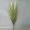 Mô phỏng lúa kê thung lũng giả lúa mì tai trang trí hoa chụp đạo cụ lúa sậy khô hoa cắm hoa - Hoa nhân tạo / Cây / Trái cây