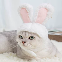 Белый кролик, без проколов ушей