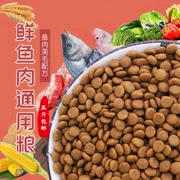 Xiao Yangsen tự chế thịt cá tươi thức ăn tự nhiên phổ quát 500g len vàng với số lượng lớn chó husky thực phẩm chủ yếu - Gói Singular