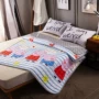 Non-slip nệm nhíp mùa hè rửa phần mỏng mát tatami mat giường pad mỏng 1.35 m1.8 m 2.2x2 nệm 1 người