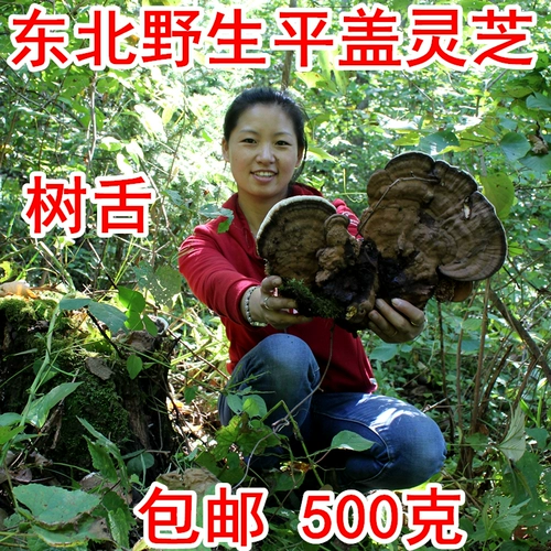 Чанбайская гора дикая ганодерма 500g pingjie ganoderma сухой товары Северо -восточное дерево Тонгжи Ганодерма Lucidum ganoderma lucidum может только нарезать порошок