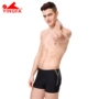 Quần bơi nam Anh boxer thời trang quần bơi nam mùa xuân giải trí nhanh khô khô gợi cảm siêu lớn kích thước cộng với quần bơi béo - Nam bơi đầm bộ đồ bơi nam