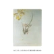 B5-120 Zhang Meilan Bamboo Chrysanthemum-Orchid (внутренняя страница горизонтальной линии