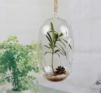 Прозрачная стеклянная ваза, иллюстрация, бутылка, подвесная ваза, гидропонный контейнер, цветочное растение, водное растение, бутылка, ваза для цветов